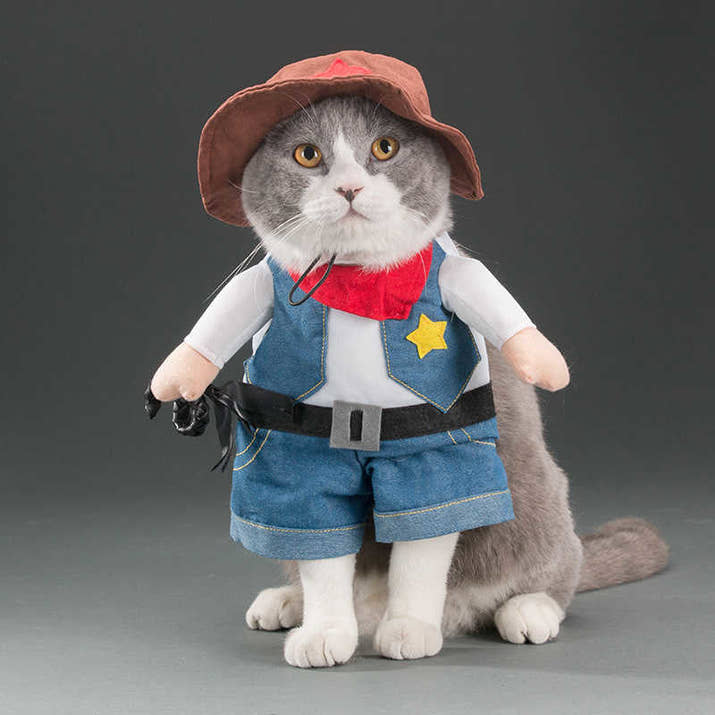 Funny Pets Costum Trendify