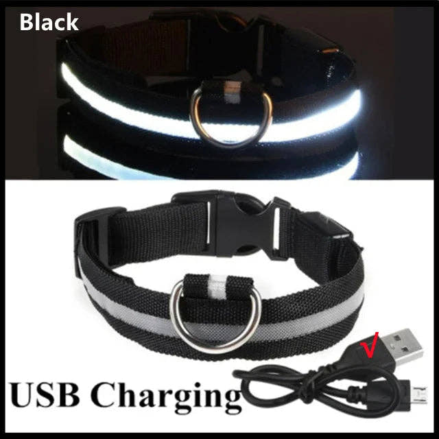 LED Glowing Dog Collars Rechargeable Trendify