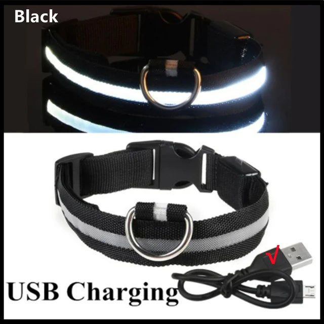 LED Glowing Dog Collars Rechargeable Trendify
