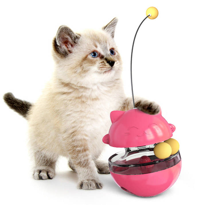 Interactive Cat IQ Treat Ball Trendify