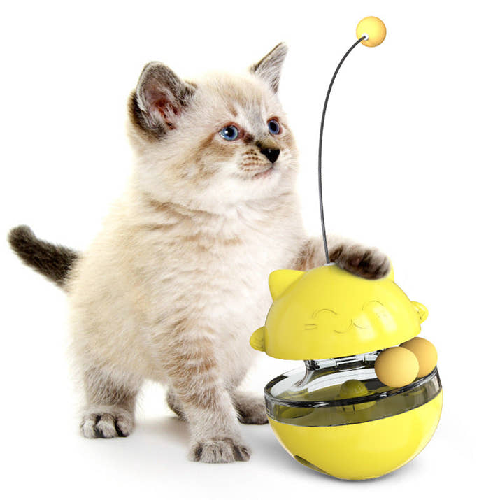 Interactive Cat IQ Treat Ball Trendify