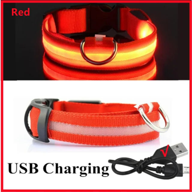 LED Glowing Dog Collars Rechargeable Trendify