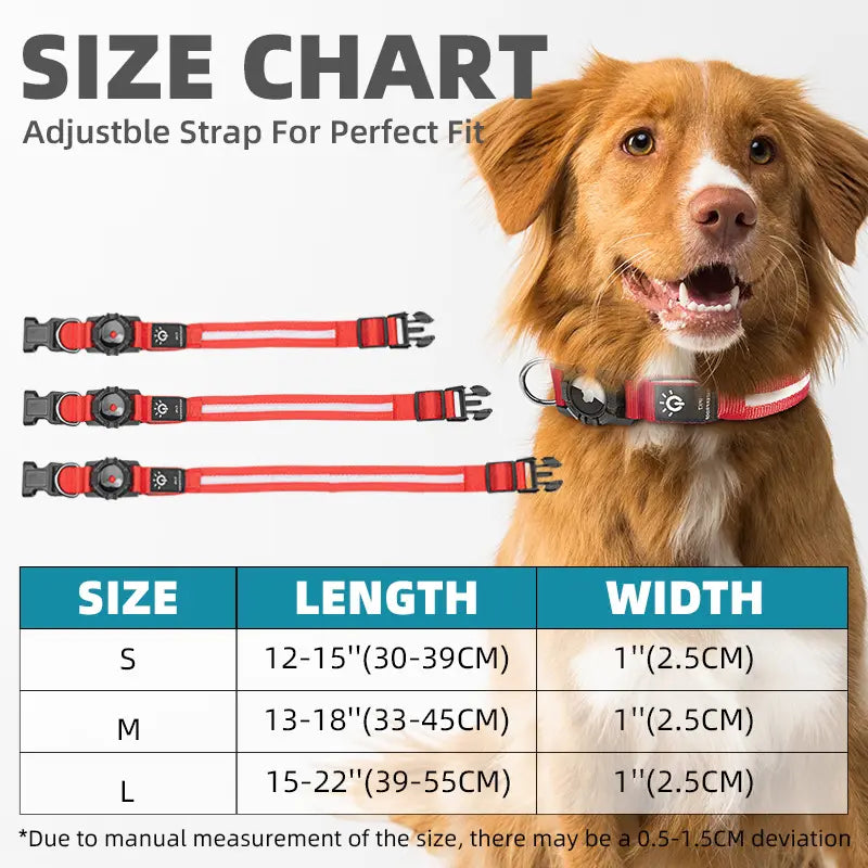 LED Dog Collar with AirTag Holder - Trendify