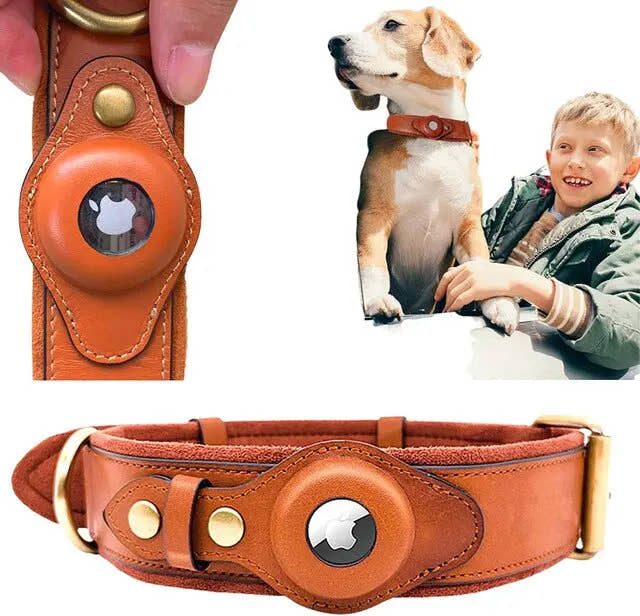 Leather AirTag Dog Collar - Trendify