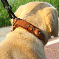 Leather AirTag Dog Collar - Trendify