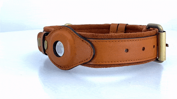 Leather AirTag Dog Collar - Trendify