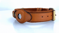 Leather AirTag Dog Collar - Trendify